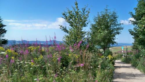 المنطقة المحيطة, Ferienwohnung Am Himmel in Birx المنطقة المحيطة, Ferienwohnung Am Himmel in Birx