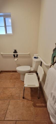 Bathroom, Hot Springs Inn in Ouray (CO) Bathroom, Hot Springs Inn in Ouray (CO)