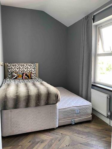 Stylish and spacious entire house