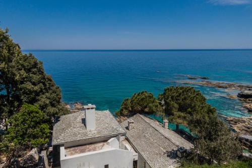 Surrounding environment, Big Blue Pelion in Kalamaki Surrounding environment, Big Blue Pelion in Kalamaki