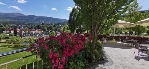 Balcony/terrace, Hotel Golebiewski Karpacz in Karpacz Balcony/terrace, Hotel Golebiewski Karpacz in Karpacz