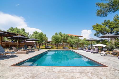 Pefkon Suites in Chalkidiki Pefkon Suites in Chalkidiki