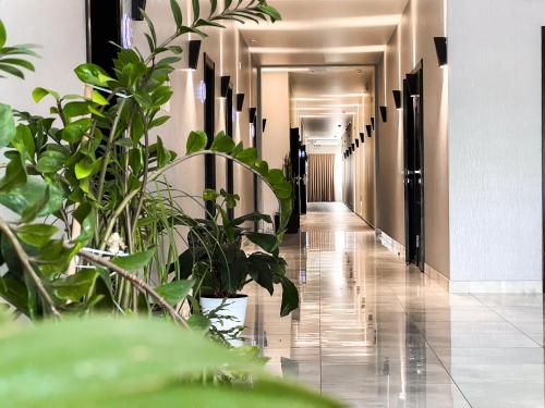 Buitenkant, Aleanda in Chahor Buitenkant, Aleanda in Chahor