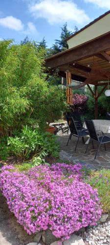 Haus Waldblick in Marktrodach Haus Waldblick in Marktrodach