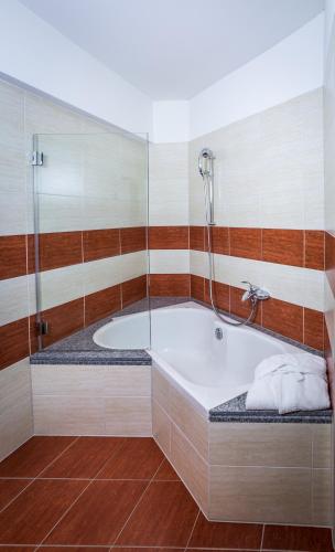 Baño, Hotel Unione in Bellinzona Baño, Hotel Unione in Bellinzona