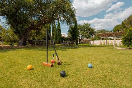 กิจกรรม, Casa das Cegonhas in อัลเคเซอ โด ซาล กิจกรรม, Casa das Cegonhas in อัลเคเซอ โด ซาล