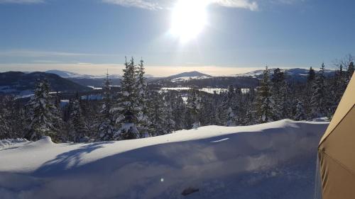 Вид, Arctic Dome in Оркангер Вид, Arctic Dome in Оркангер