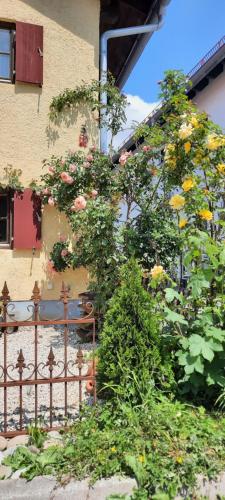Nette's Ferienhaus in Landsberg am Lech Nette's Ferienhaus in Landsberg am Lech