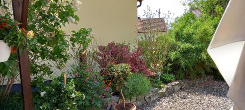 Haus Waldblick in Marktrodach Haus Waldblick in Marktrodach