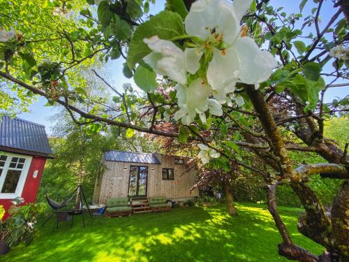 Сад, Tiny house - idyllic accommodation in Грімштад Сад, Tiny house - idyllic accommodation in Грімштад