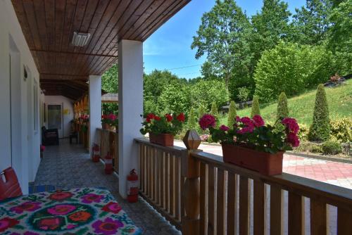 Kilátás, Casa Papițu (Casa Papitu) in Vadu Izei Kilátás, Casa Papițu (Casa Papitu) in Vadu Izei