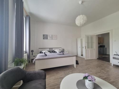 Cerny Tulipan - Apartman 4 in Plzen 1 Cerny Tulipan - Apartman 4 in Plzen 1