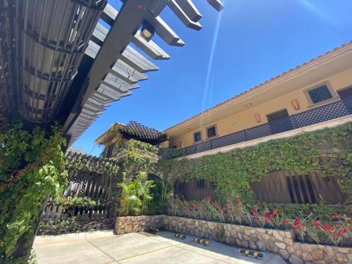 Cabo Vista Hotel - Adults Only in Cabo San Lucas Cabo Vista Hotel - Adults Only in Cabo San Lucas