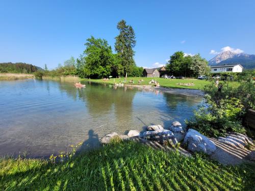 مناطق جذب قريبة, Haus Seebrise in Faak Am See مناطق جذب قريبة, Haus Seebrise in Faak Am See