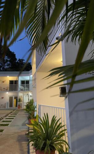 Utvendig, Nautilus by La Jamaca Hotels-Downtown La Parguera in La Parguera Utvendig, Nautilus by La Jamaca Hotels-Downtown La Parguera in La Parguera