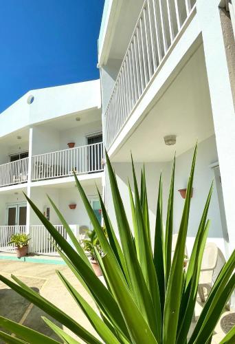Utvendig, Nautilus by La Jamaca Hotels-Downtown La Parguera in La Parguera Utvendig, Nautilus by La Jamaca Hotels-Downtown La Parguera in La Parguera