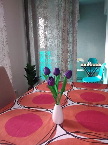 Vidi Zagreb in ซาวิกา Vidi Zagreb in ซาวิกา