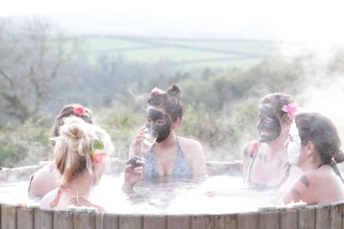 Secluded Shepherds Hut, with a view and hot tub in Ashburton Secluded Shepherds Hut, with a view and hot tub in Ashburton
