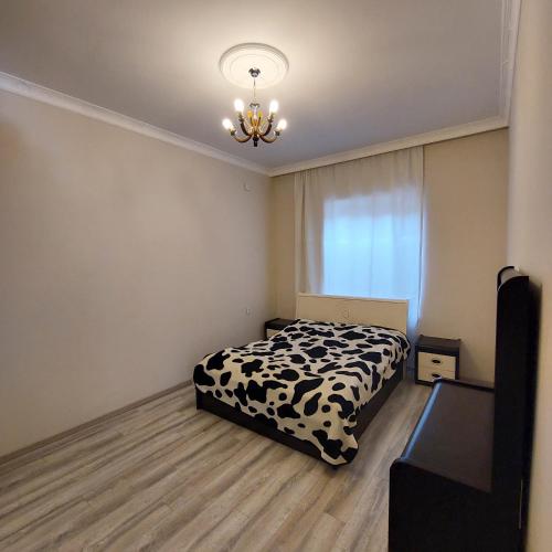 Family , Fresh , Fascinating