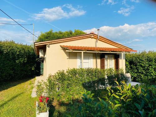 The mansion of Dionisos and Dimitras 5 in Olympia The mansion of Dionisos and Dimitras 5 in Olympia