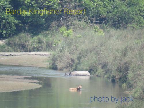 Bardia Kingfisher Resort in Bardiya Bardia Kingfisher Resort in Bardiya