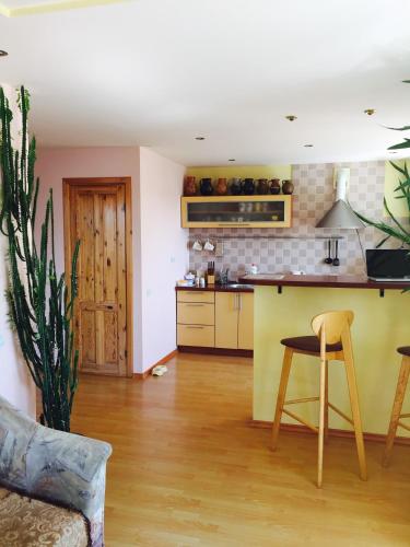 Green Hall apartment in Ignalina Green Hall apartment in Ignalina