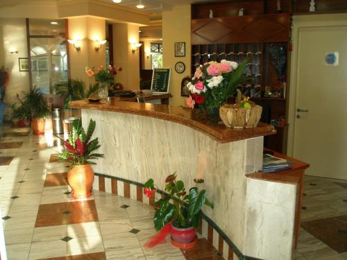 Lobby, Tolon Holidays Hotel in Tolo Lobby, Tolon Holidays Hotel in Tolo
