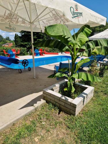 Swimming pool, Villa Gabino in Balatonbereny Swimming pool, Villa Gabino in Balatonbereny