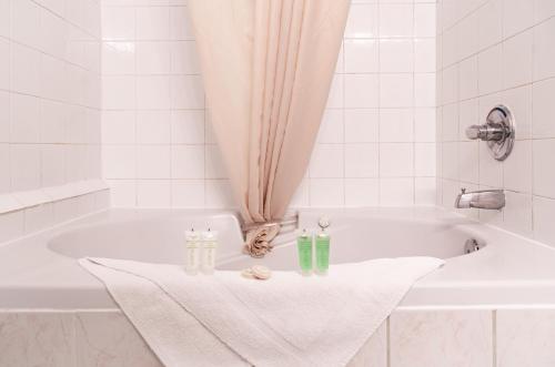 Facilities, Mountain View Inn in Canmore (AB) Facilities, Mountain View Inn in Canmore (AB)