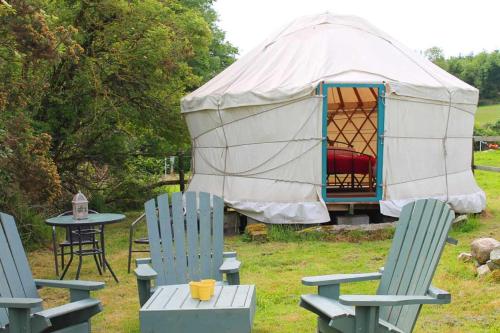 The Walled Garden Yurt in Таллоу The Walled Garden Yurt in Таллоу