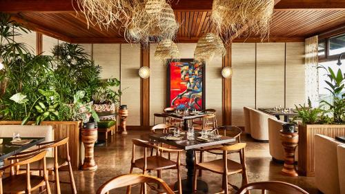 Étterem, Hacienda AltaGracia, Auberge Collection in San Ignacio Étterem, Hacienda AltaGracia, Auberge Collection in San Ignacio