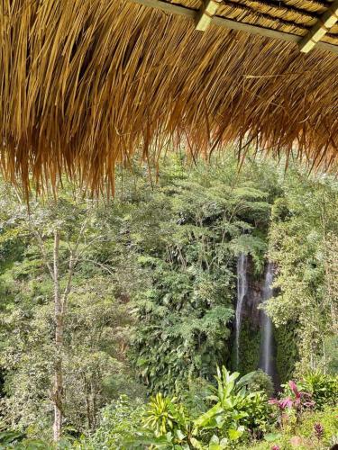 View, Munduk Tutub waterfall view in Munduk View, Munduk Tutub waterfall view in Munduk