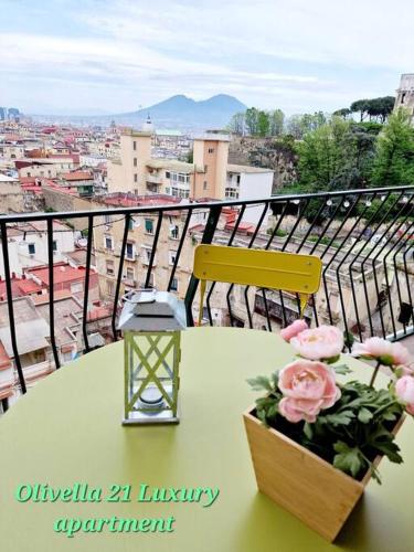 Olivella21 Vesuvio