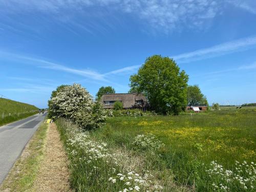 Ferienwohnung Marschkieker - Kleiner Deichhof in Hattstedtermarsch Ferienwohnung Marschkieker - Kleiner Deichhof in Hattstedtermarsch