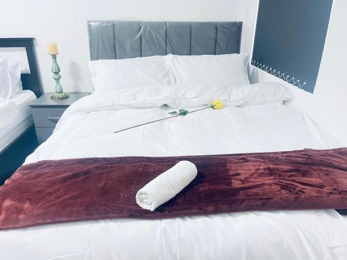 1 bed apartment with 2 beds 1 double plus 1 single in Nechells 1 bed apartment with 2 beds 1 double plus 1 single in Nechells