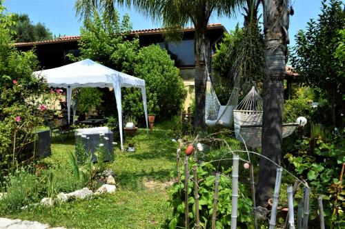Villaggio Naif Girasole in Monterotondo Villaggio Naif Girasole in Monterotondo
