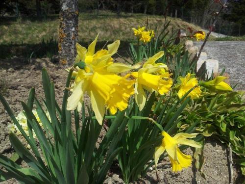 This photo about La Colombella shared on HyHotel.com