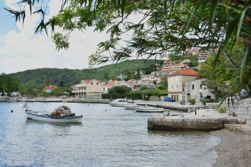 Studio Apartments Summer Time in Josice Studio Apartments Summer Time in Josice