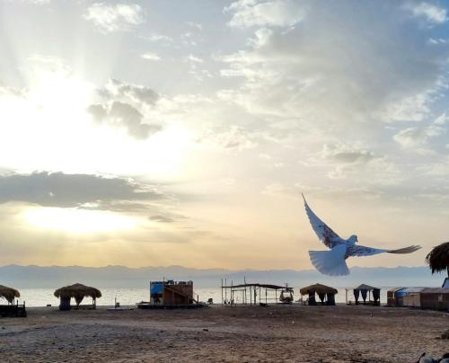 해변, Al Khalil Beach Camp in 누웨이바 해변, Al Khalil Beach Camp in 누웨이바