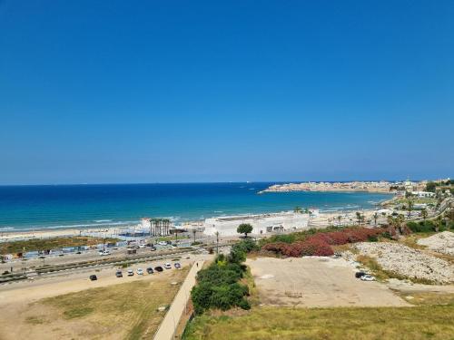 Beachfront Gallery in עכו Beachfront Gallery in עכו