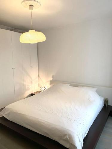 Superbe Appartement Batignolles