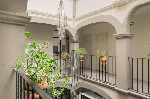 บริการและสิ่งอำนวยความสะดวก, Casa Doper Guadiana in การากอล บริการและสิ่งอำนวยความสะดวก, Casa Doper Guadiana in การากอล