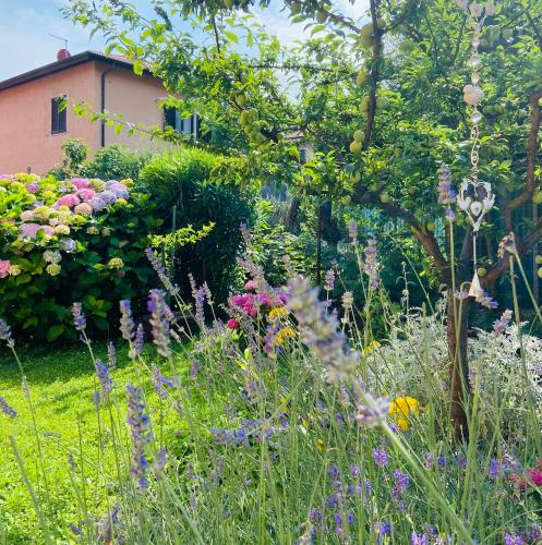 Lakes&Hills Apartments in Erba Lakes&Hills Apartments in Erba