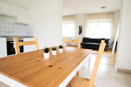 Faciliteiten, Lions Apartments - Erholung und Vergnügen in Bad Tatzmannsdorf (Lions Apartments - Erholung und Vergnugen in Bad Tatzmannsdorf) in Bad Tatzmannsdorf Faciliteiten, Lions Apartments - Erholung und Vergnügen in Bad Tatzmannsdorf (Lions Apartments - Erholung und Vergnugen in Bad Tatzmannsdorf) in Bad Tatzmannsdorf