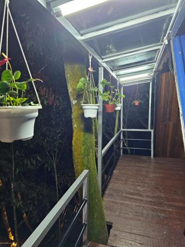 Widok, Orkid Chalet in Ringlet Widok, Orkid Chalet in Ringlet