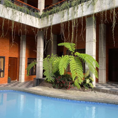 Swimming pool, Pariban Hotel in Berastagi Swimming pool, Pariban Hotel in Berastagi