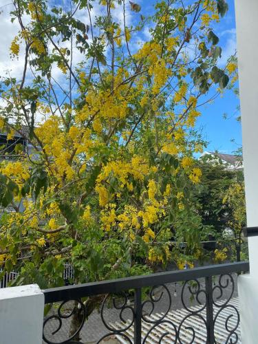 景观, Aurora Homestay Quảng Ngãi (Aurora Homestay Quang Ngai) in 义政 景观, Aurora Homestay Quảng Ngãi (Aurora Homestay Quang Ngai) in 义政