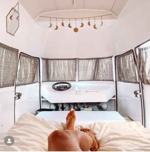 エン ゲディ キャンプ ロッジ (Ein Gedi Camp Lodge) in 死海 エン ゲディ キャンプ ロッジ (Ein Gedi Camp Lodge) in 死海