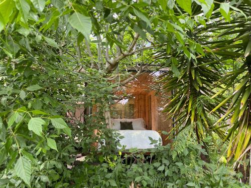 View, Springfield Lodge in Valongo View, Springfield Lodge in Valongo