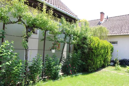 Garden, Orosz Apartmanhaz Gyula in Ujvaros Garden, Orosz Apartmanhaz Gyula in Ujvaros